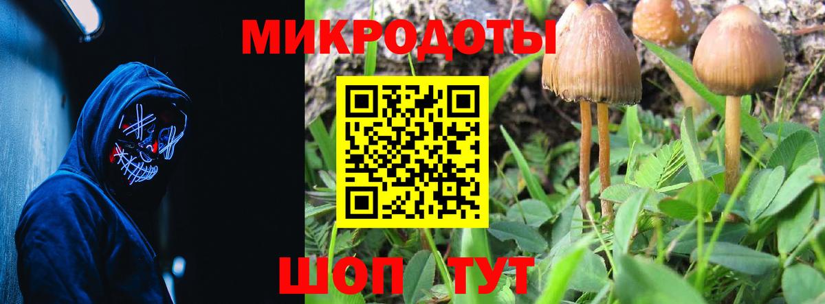 Галлюциногенные грибы Magic Shrooms Горячий Ключ